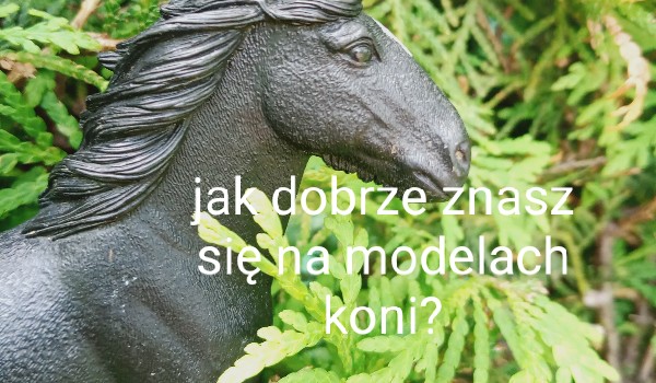 Jak dobrze znasz się na modelach koni?