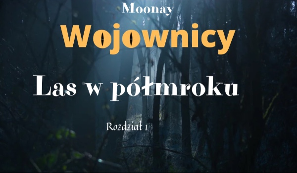 Wojownicy / Las w półmroku 1