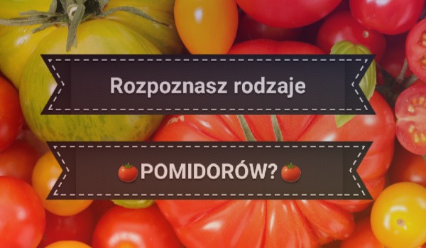 Rozpoznasz te rodzaje pomidorów po obrazku?