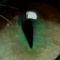 SpringCelery338