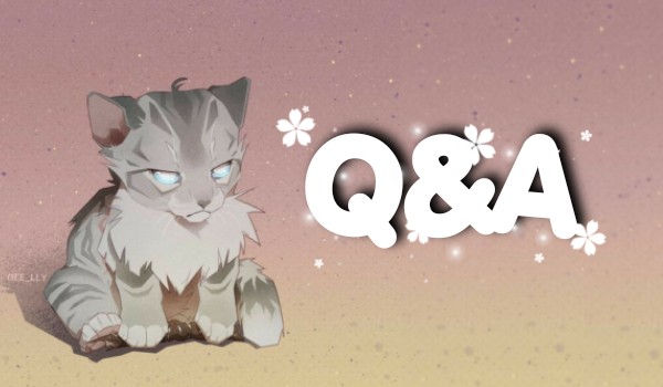 Q&A—Pytania