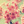 no_nwm0