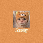 MaddyMaddy
