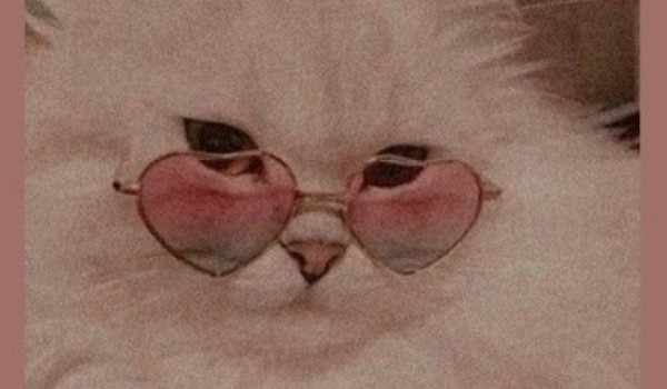 Zobacz swoja osobowosc