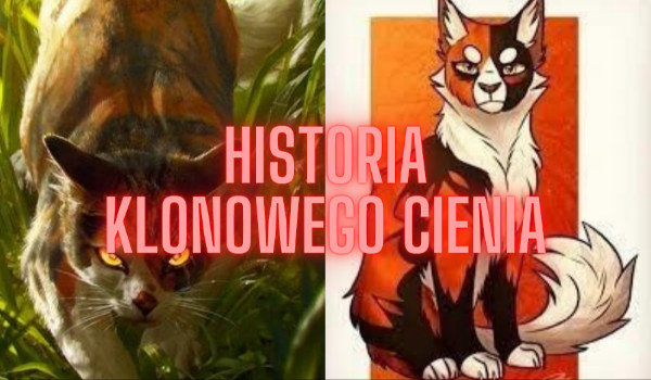 Historia Klonowego Cienia
