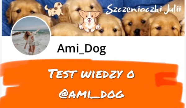 Test wiedzy o @Ami_Dog