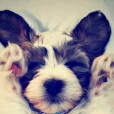 Ania_zx