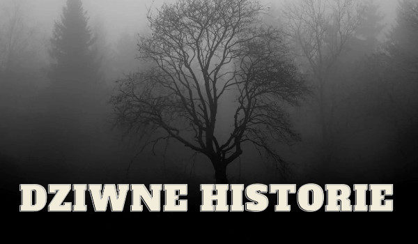 Dziwne historie|°2