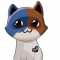 misio_120