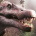 Spinosaurus_1869