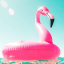Summer-Flamingo