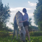 Misiaa_equestrian