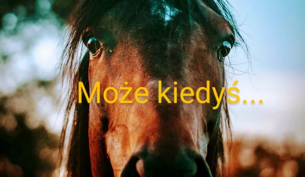 Może kiedyś…