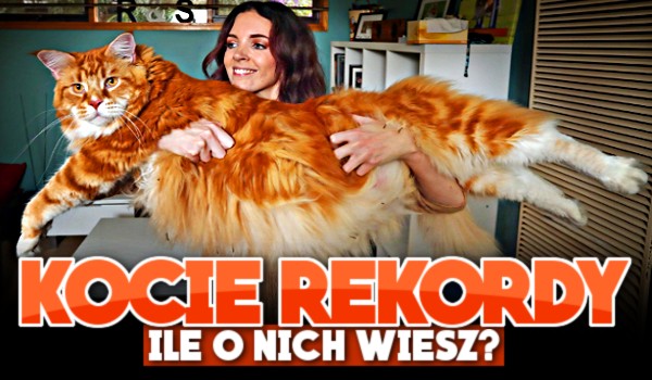 Kocie rekordy! Ile o nich wiesz?