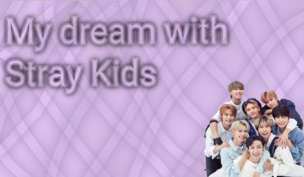 My dream with Stray Kids #1