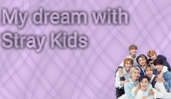 My dream with Stray Kids #2