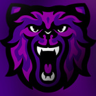 BazaltXD