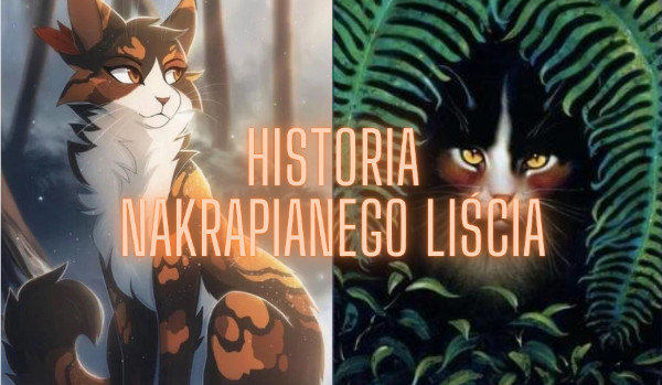 Historia Nakrapianego Liścia