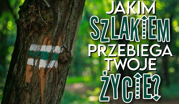 Jakim szlakiem przebiega Twoje życie?