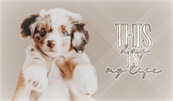 This dog is my life — Character description&Prolog