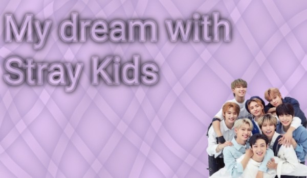 My dream with Stray Kids #3