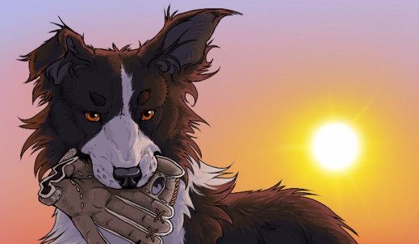 Oceniam postacie ze ,,Sfory”:Miki