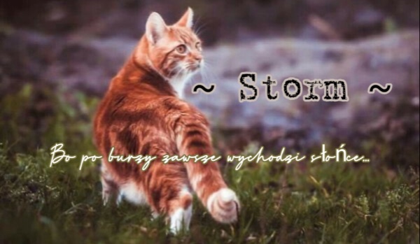 ~Storm~ [Part Seven]