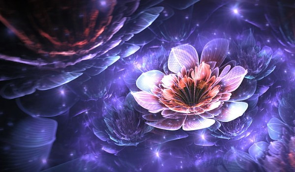 Horoskopquiz: Jaką niezwykłą moc będzie posiadał Twój magiczny kwiat?