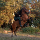 JasStAOkczeK