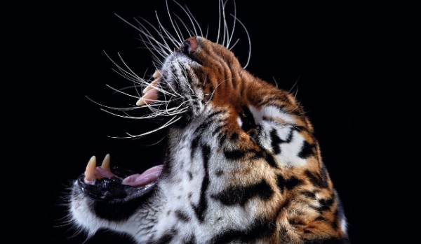 Odnalezione szczęście #2