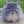 Iwona_03