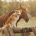 .Dog_and_Horse.