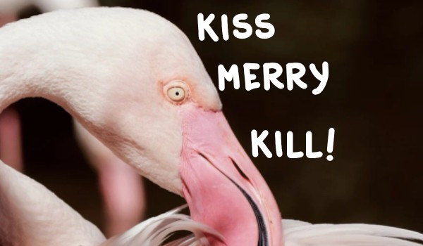 Kiss, merry, kill użytkownicy sq! Zapisy