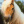 LightHorseGirl