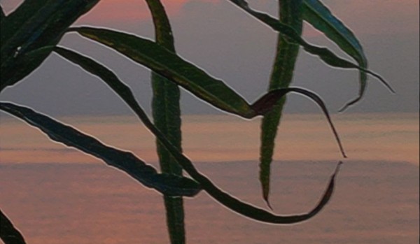 Ocenianie profilu – @.Water_Wave. oraz @Nightmare4444