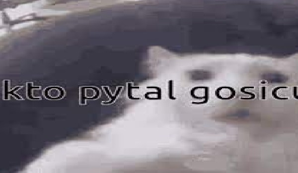 kto pytał?