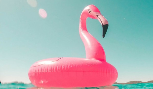 o flamingosie co fodorosty je w sosie part 2 na życzenie nadika