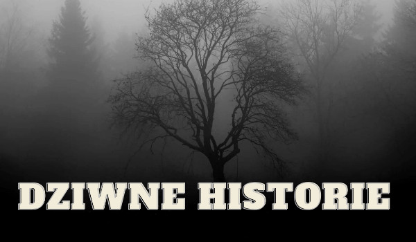 Dziwne historie|°3