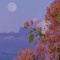 Hania_fluffy