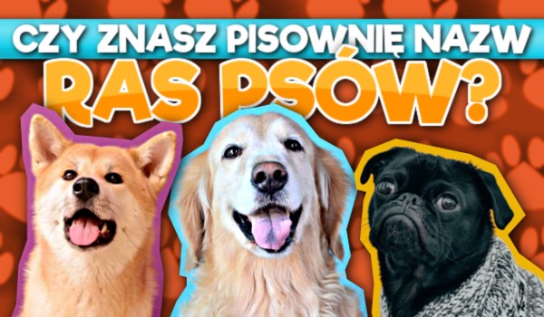 Czy znasz pisownię nazw ras psów? #1
