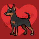 karmel.dog.piesek