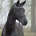 __Horse_and_me__