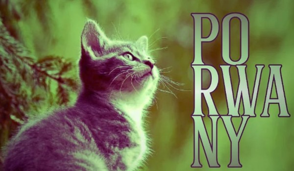 Porwany – Piąty Rozdział