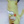 Pastel_Fox