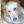 Martyna1236