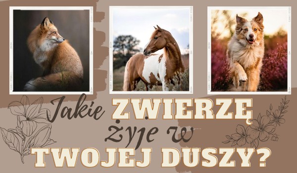 Jakie zwierze żyje w twojej duszy?