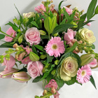 zaobserwuje.....ciebie