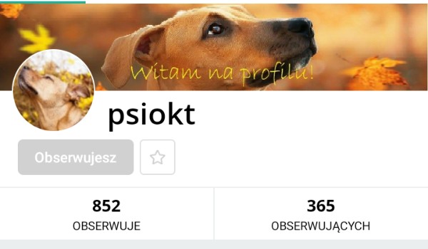 Ocenianie profilu psiokt