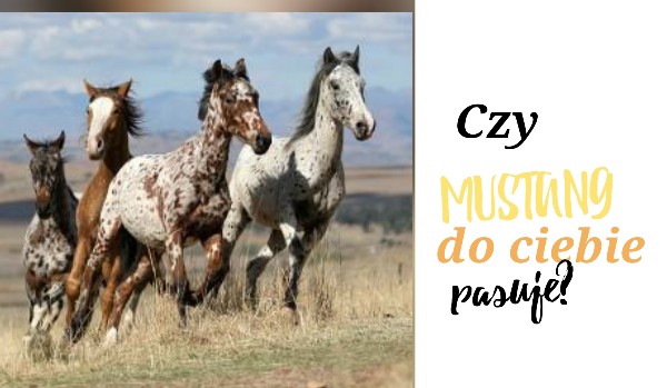 Czy mustang do ciebie pasuje?