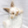 Bunny.Porady